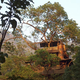 Illustration for article titled Bellavista's Biodigesting Treehouses Are Endor on Earth